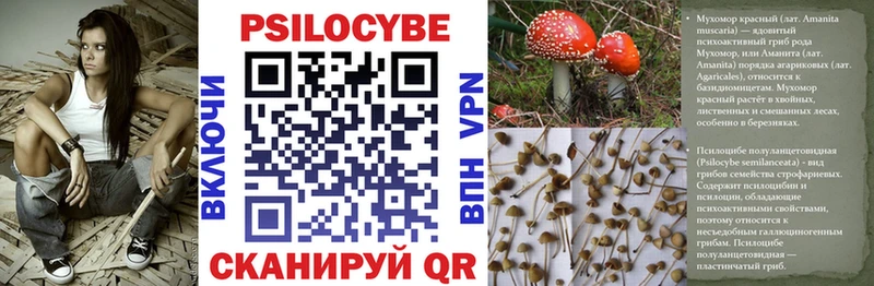 Псилоцибиновые грибы Psilocybine cubensis  shop клад  Яранск 